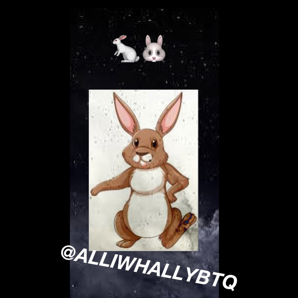 5 for $25 sale: 🐰🐇rabbit emojis in description & pic apply for this sale!6/28/25